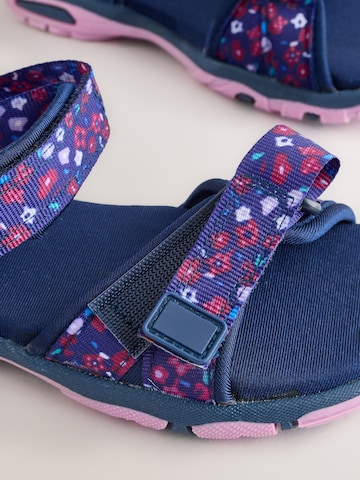 Sandales Next en violet