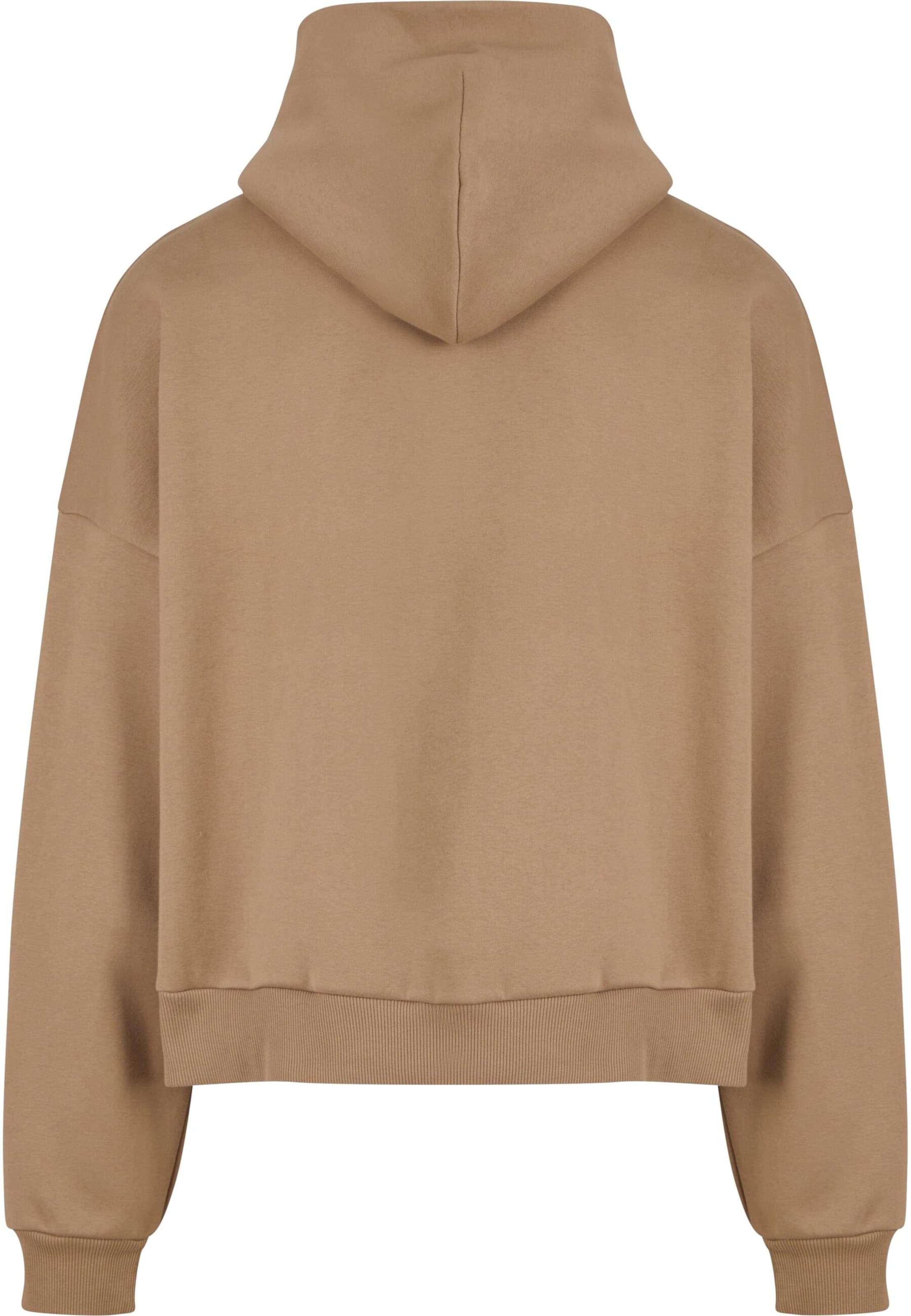 Karl Kani Sweatshirt 'Signature 89' in Beige