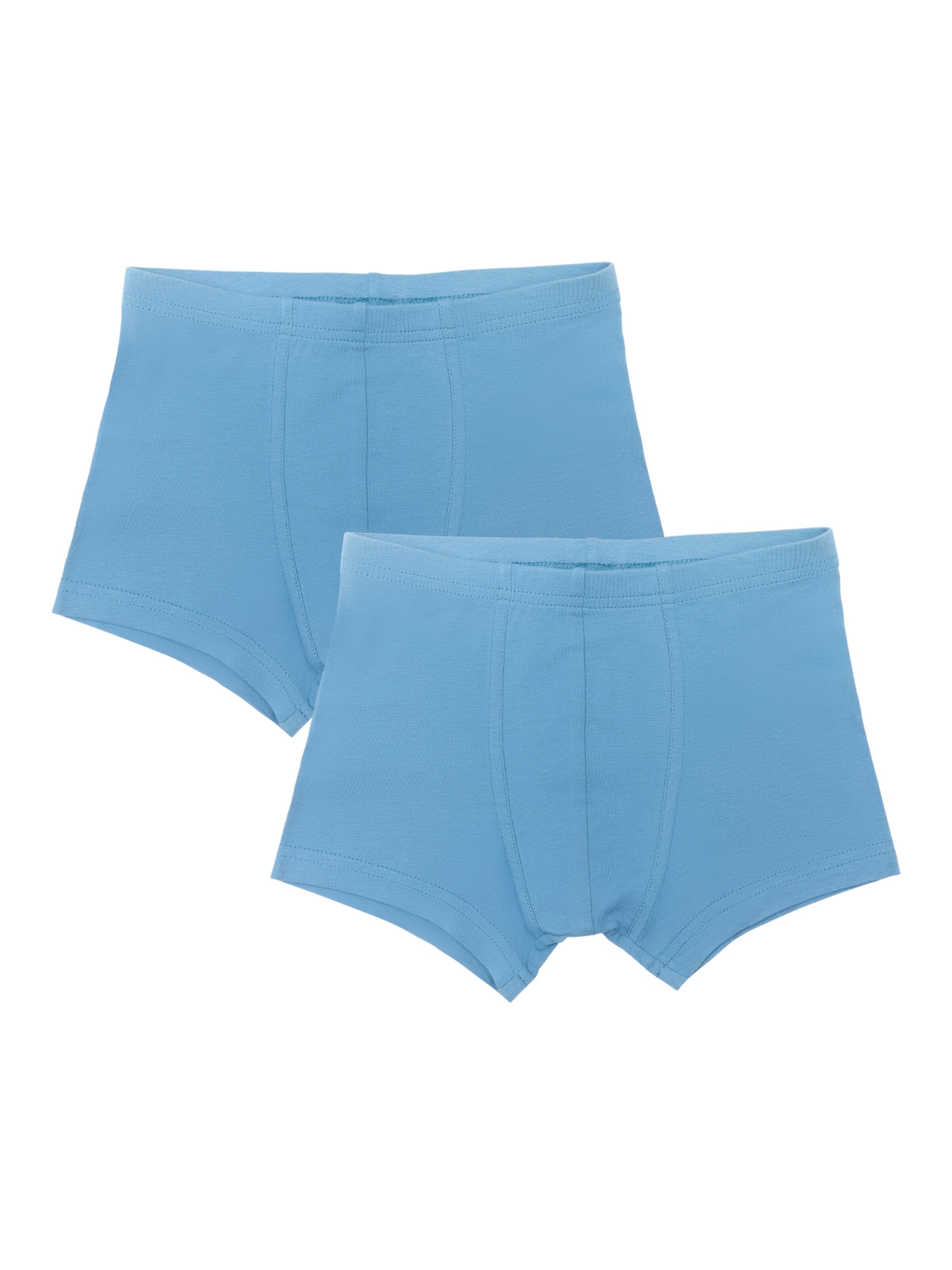 Albero Natur Unterhose‌ in Blau: Vorderseite