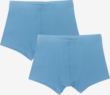 Albero Natur Unterhose in Blau: Vorderseite