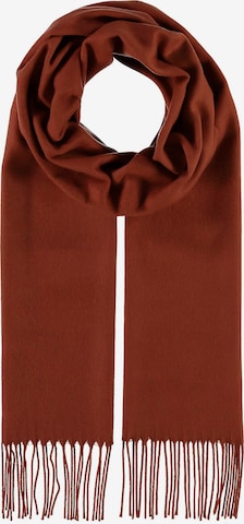 Giorgio Rimaldi Scarf in Brown: front