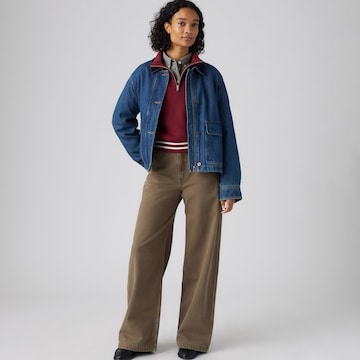 LEVI'S ® - Folgado Calças de ganga 'CINCH BAGGY CARPENTER' em verde