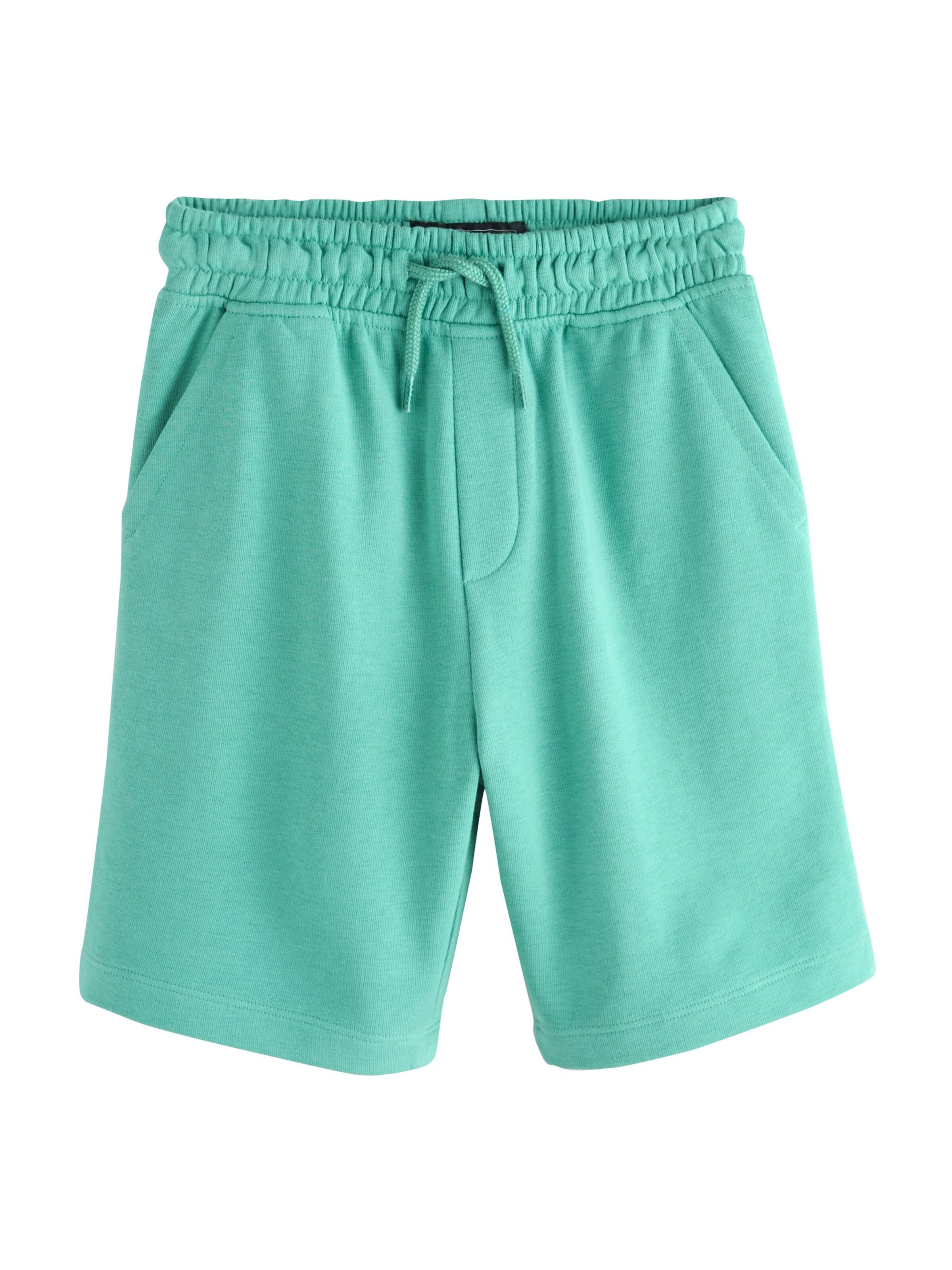 Regular Pantaloni de la Next pe albastru