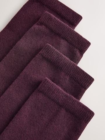 Next - Calcetines en rojo