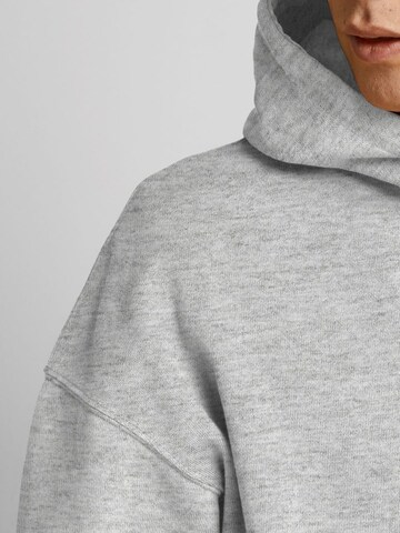 R.D.D. ROYAL DENIM DIVISION Sweatshirt in Grijs