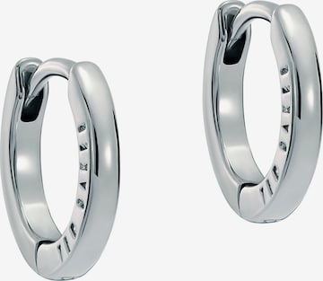 Ted Baker Ohrringe in Silber: Vorderseite