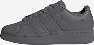 Baskets basses 'Superstar XLG' ADIDAS ORIGINALS en gris : devant