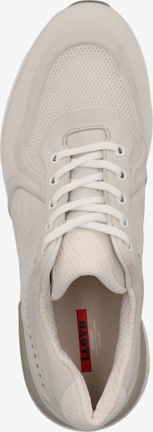 LLOYD SELECTED Sneakers in White