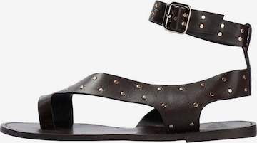 ScalpersSandale ' ' - smeđa boja: prednji dio