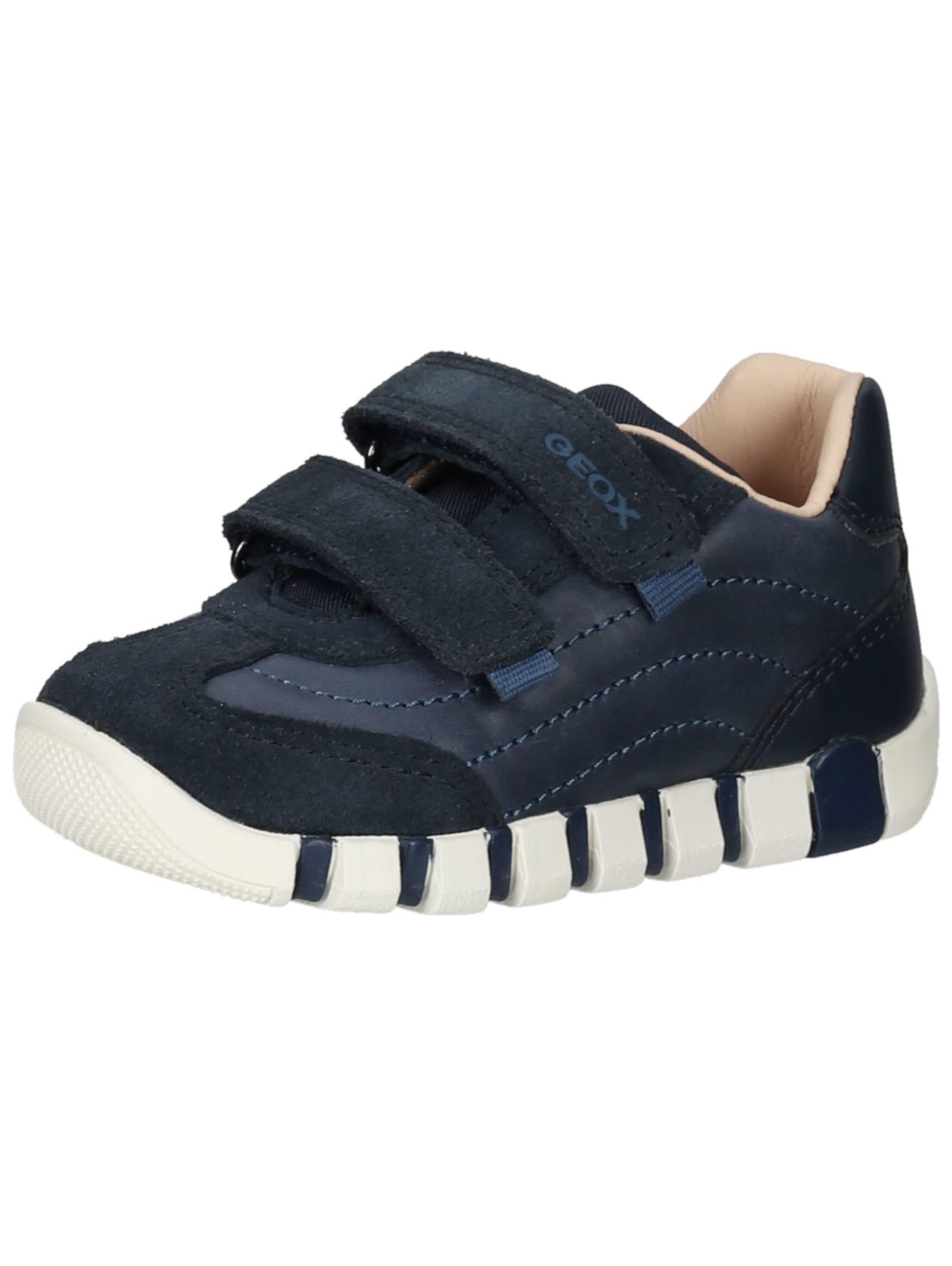 GEOX Sneaker in Blau: Vorderseite