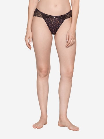 JOOP! Broekje ' Intimate Apparel ' in Bruin: voorkant