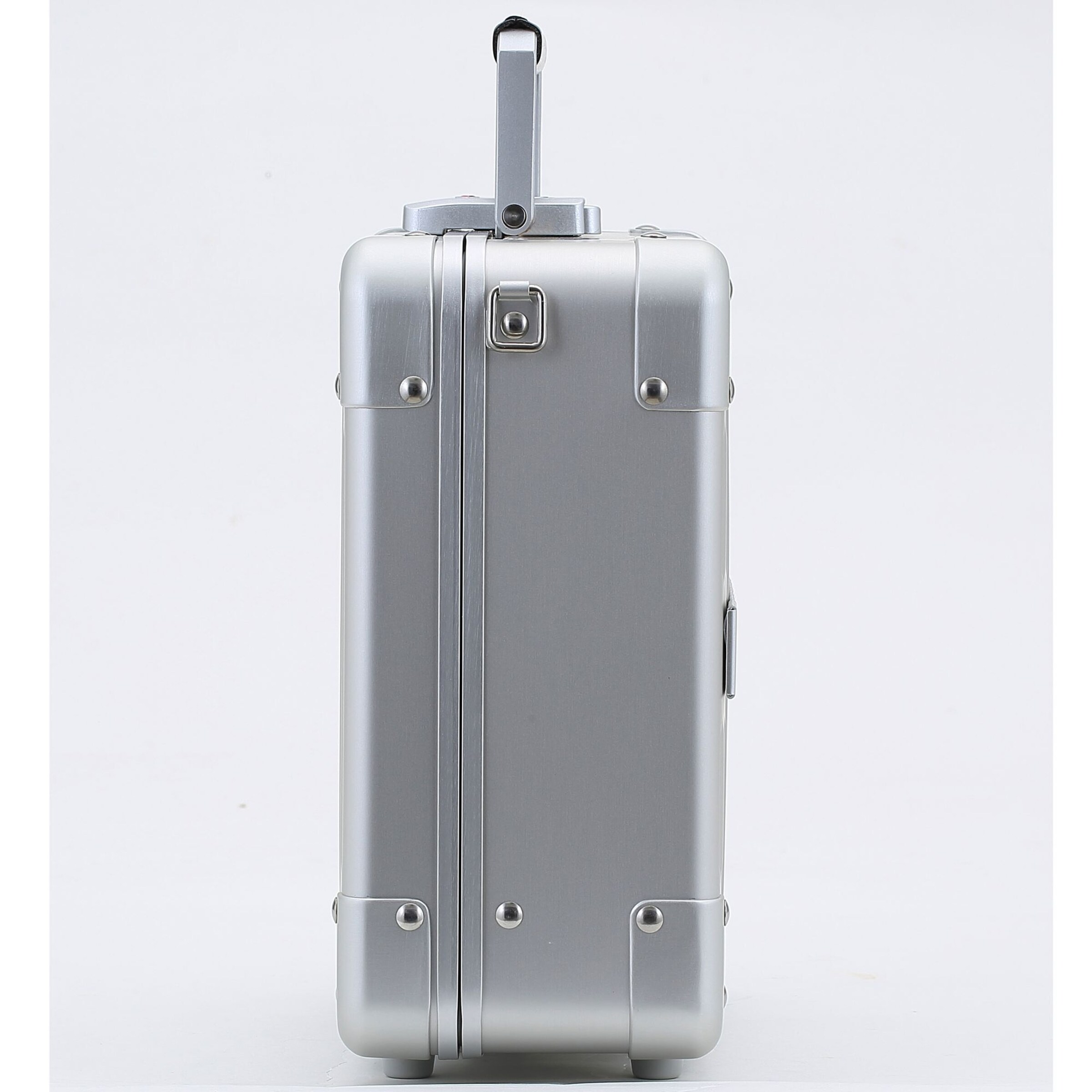 Aleon Cosmetic Bag in Silver