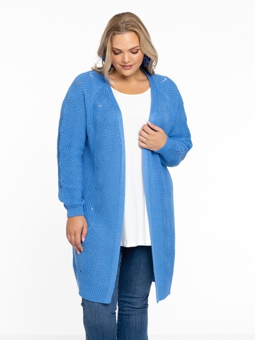 Yoek Knit Cardigan in Blue: front