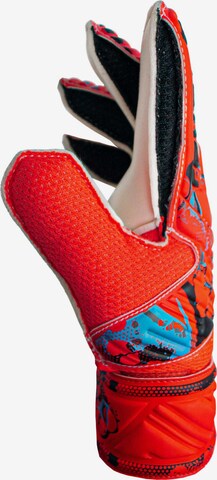 REUSCH Athletic Gloves 'Attrakt Solid Finger Support' in Red
