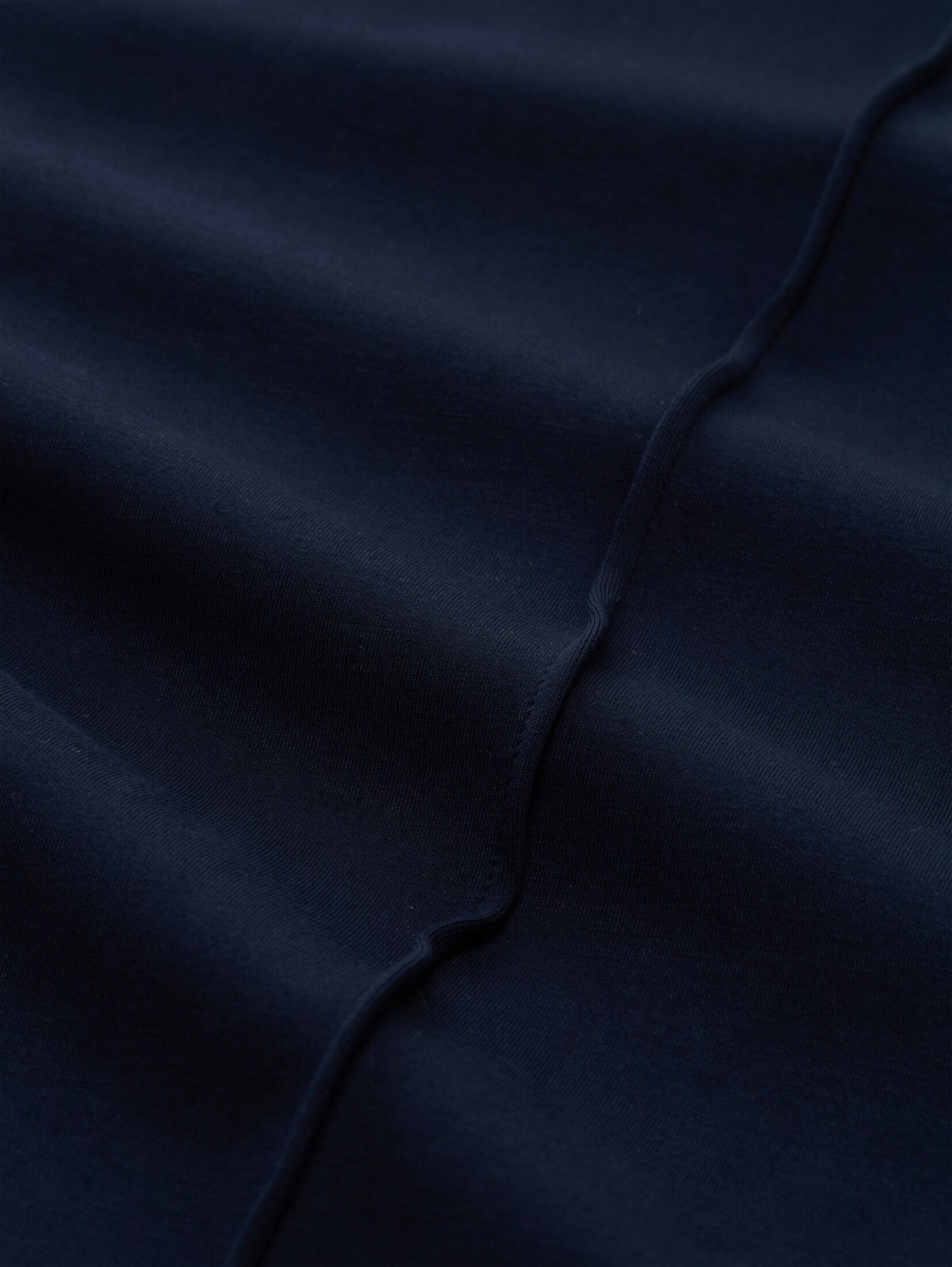 TOM TAILOR DENIM Regular Pants in Blue