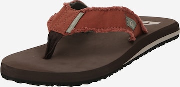 QUIKSILVER Teenslippers 'Monkey Abiss' in Bruin: voorkant