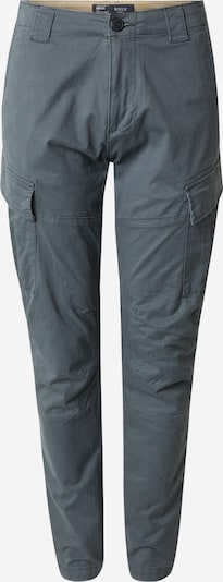 Vintage Industries Cargo hlače 'Ferron' u tamo siva, Pregled proizvoda