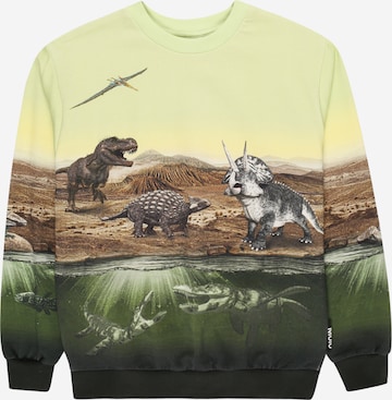Molo Sweatshirt 'Miksi' in Mischfarben: front