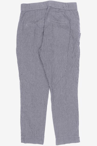 HOLLISTER Pants in 31-32 in Grey