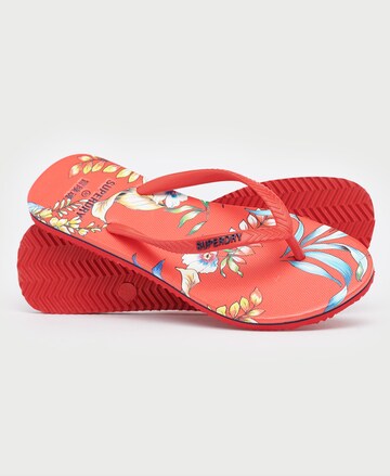 Superdry T-Bar Sandals in Red