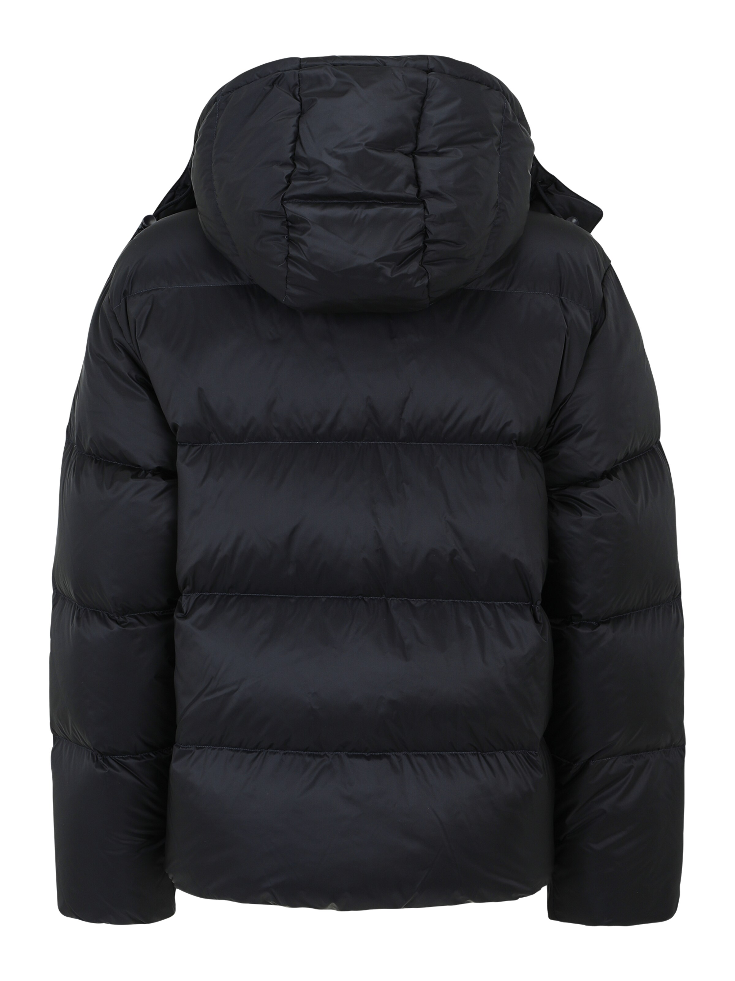 Giacca invernale di Polo Ralph Lauren in blu