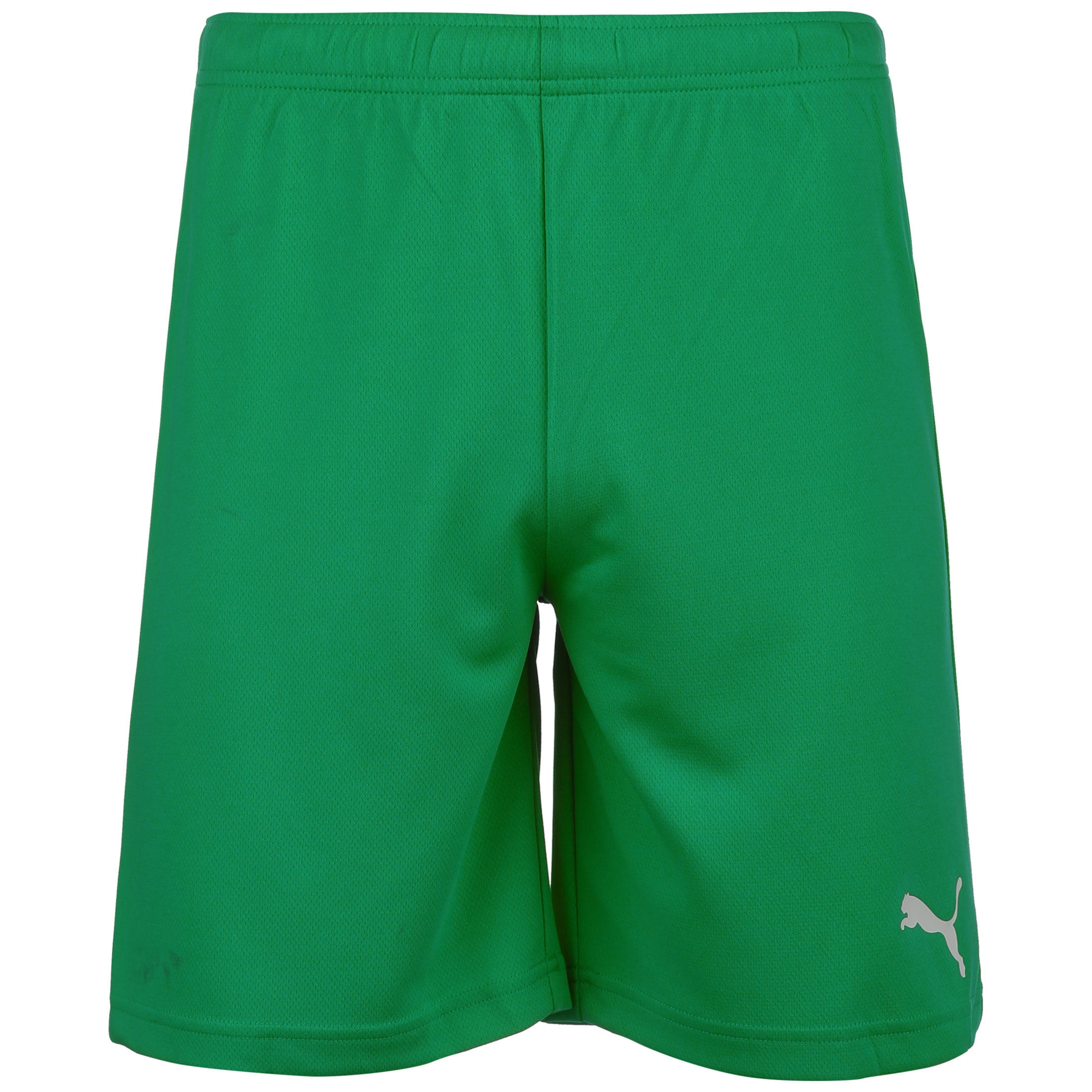 PUMA Workout Pants 'TeamRise' in Green: front
