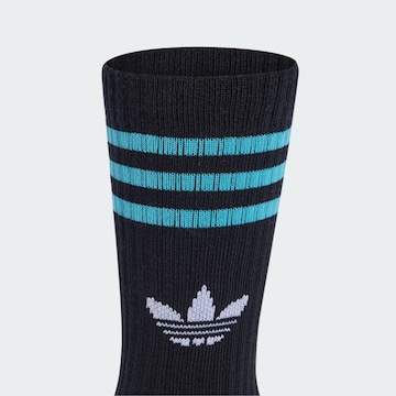ADIDAS ORIGINALS - Calcetines en negro