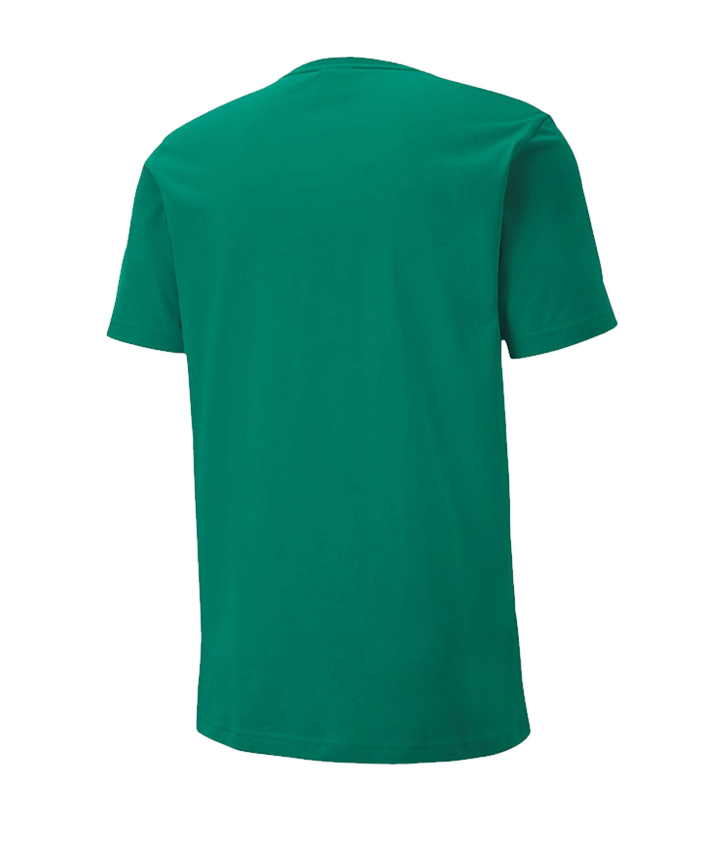 PUMA Performance Shirt 'Teamgoal 23' in Green