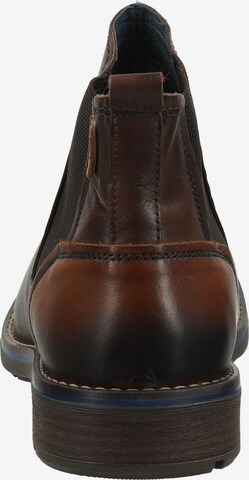 PIKOLINOS Chelsea Boots in Brown