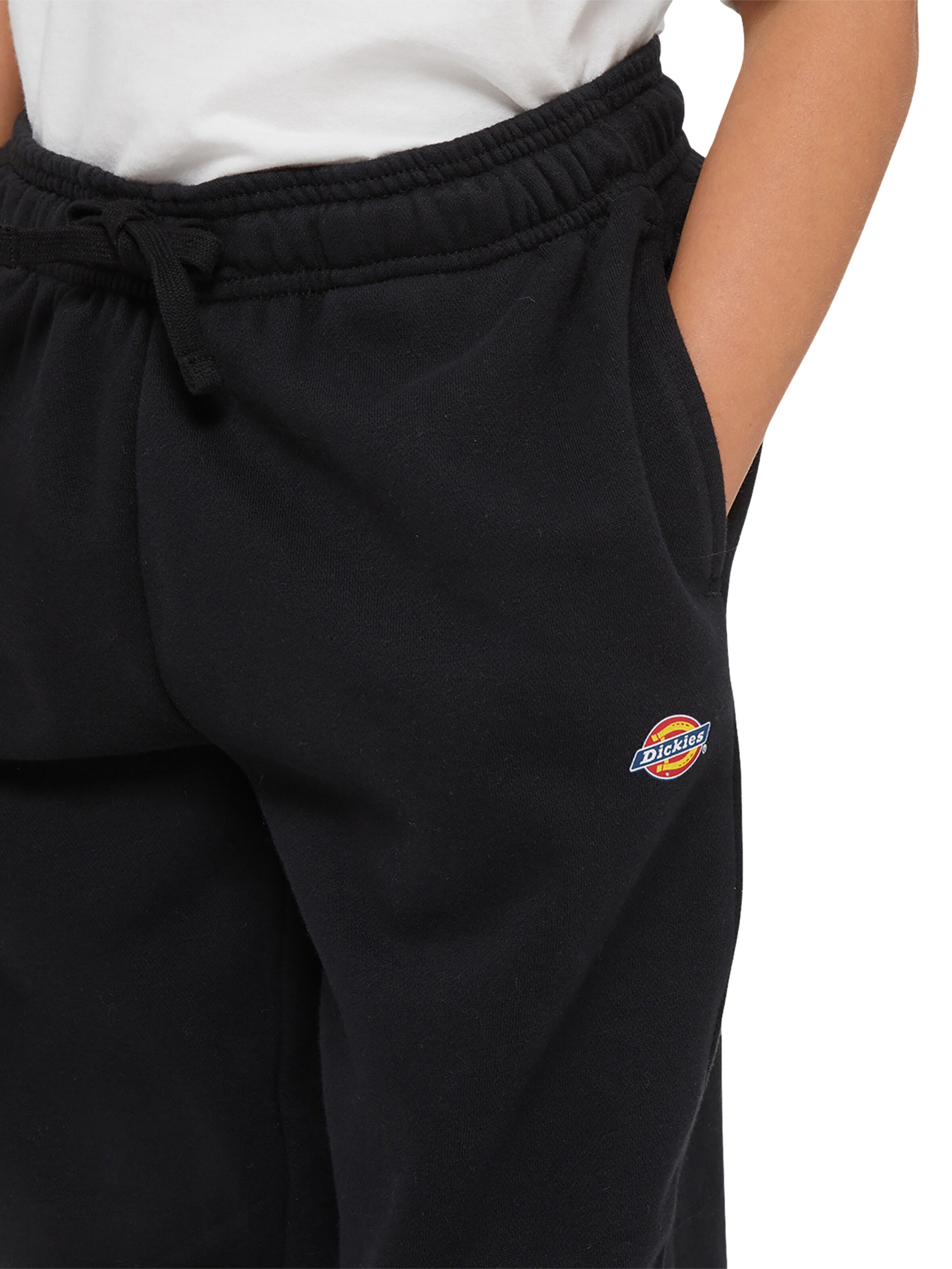 DICKIES - regular Pantalón 'Mapleton' en negro