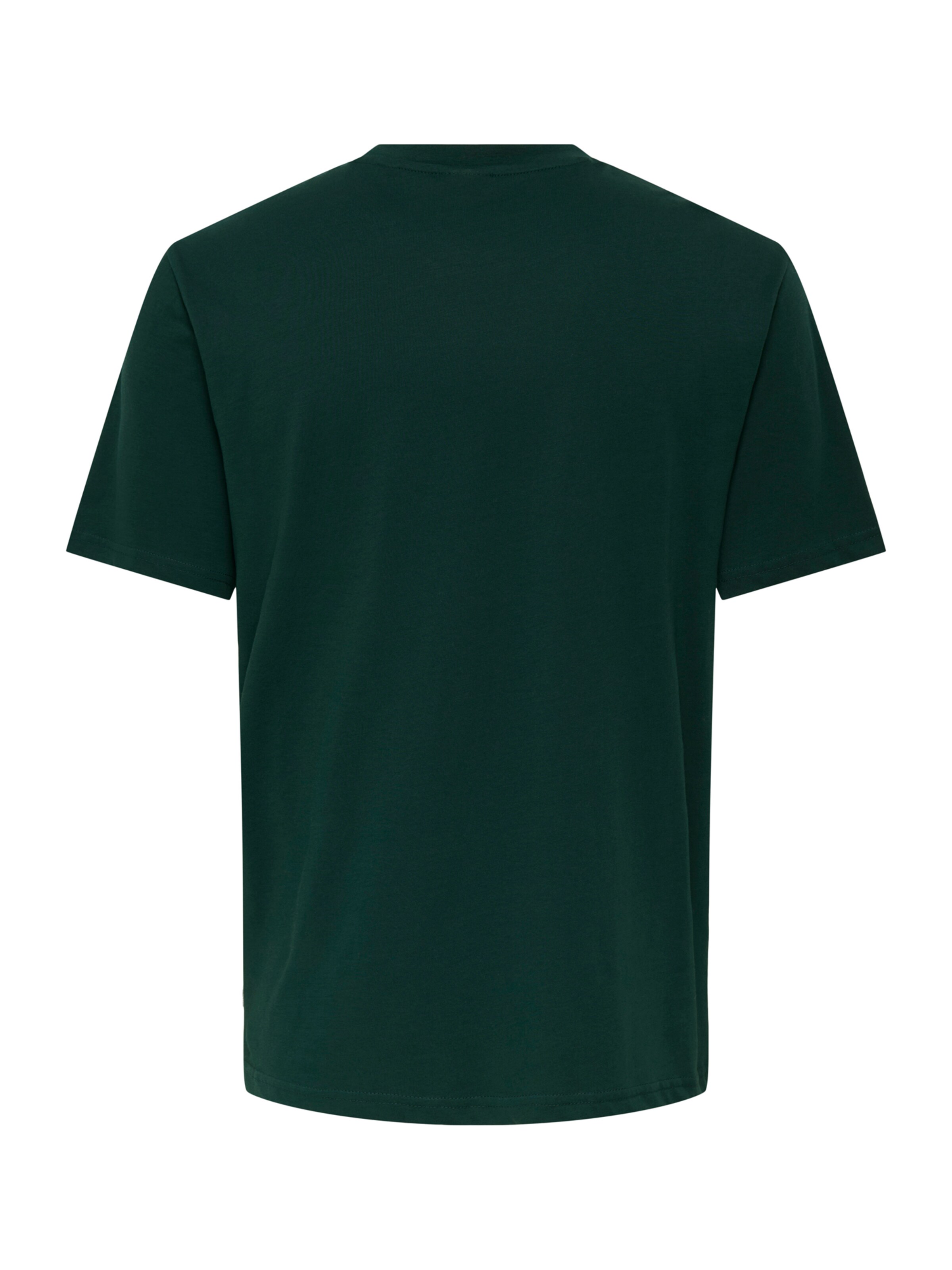 Only & Sons T-Shirt 'ONSBRON' in Grün