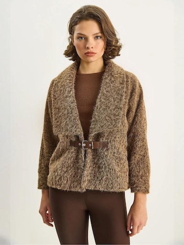 Bianco Lucci Between-seasons coat 'Mäntel' in Brown
