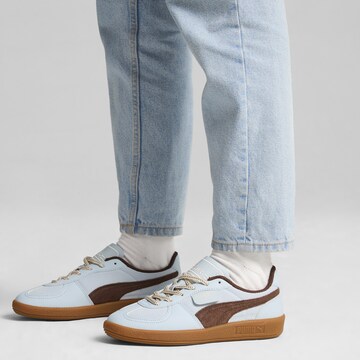 Baskets basses 'Palermo' PUMA en bleu