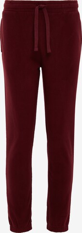 Threadbare Pants in Red: front