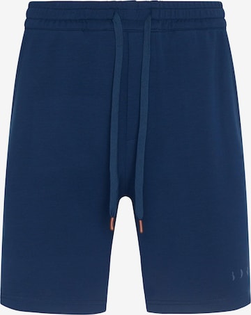 Pantalon 'Hughes' Born Living Yoga en bleu : devant