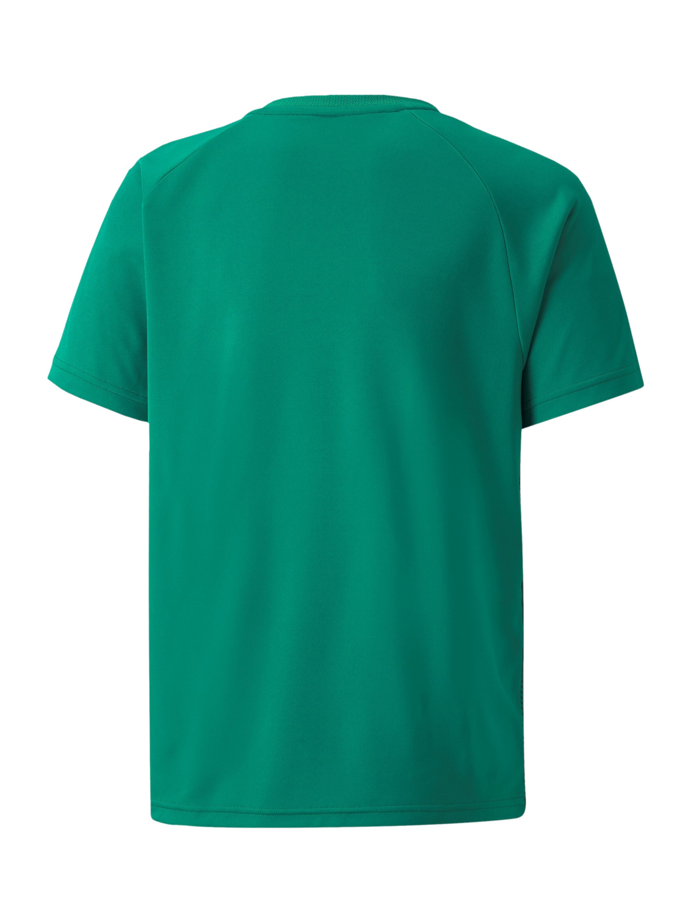 PUMA Performance Shirt 'Team Liga' in Green