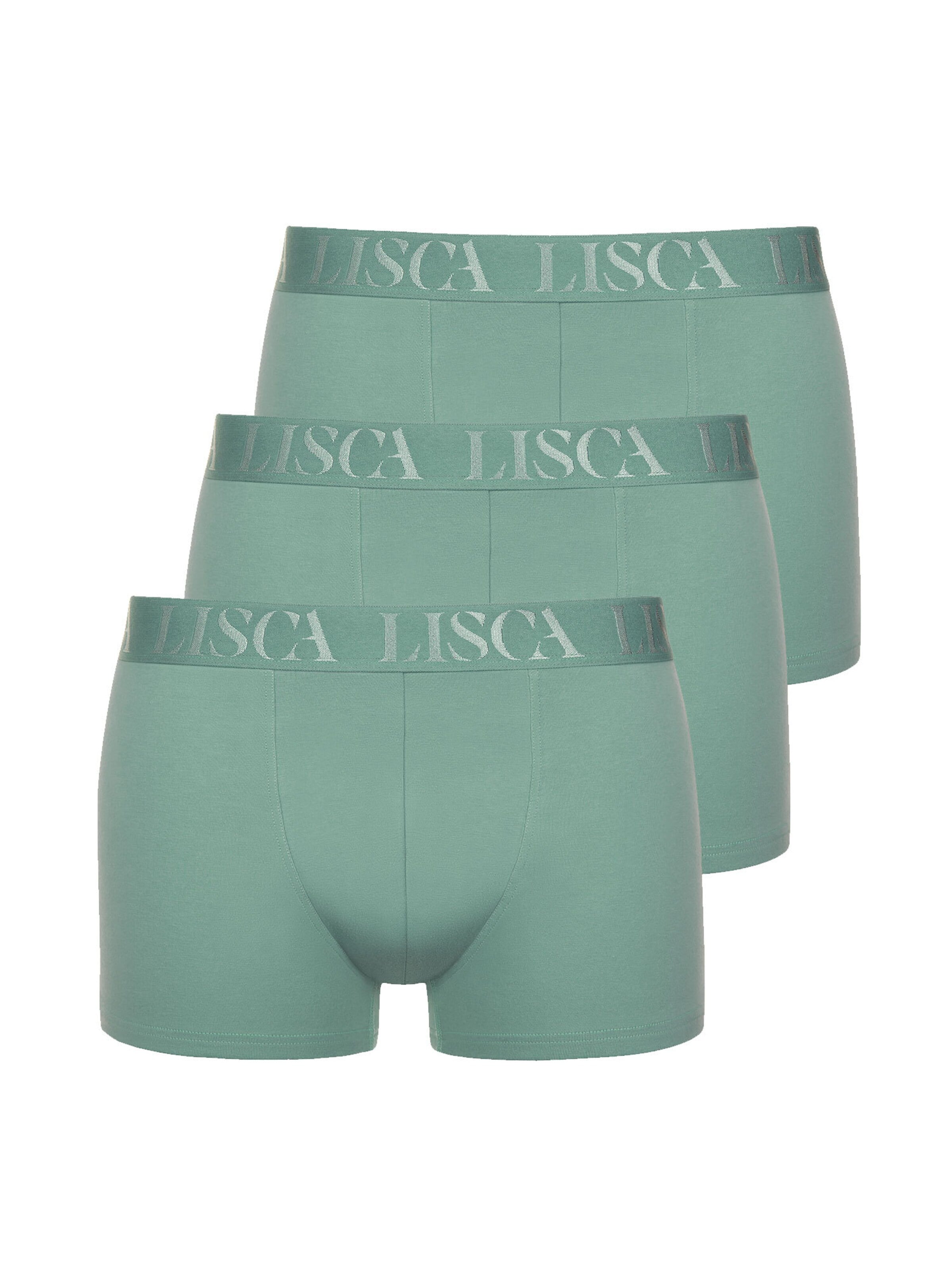 Lisca Boxer shorts 'Odysseus' in Green: front