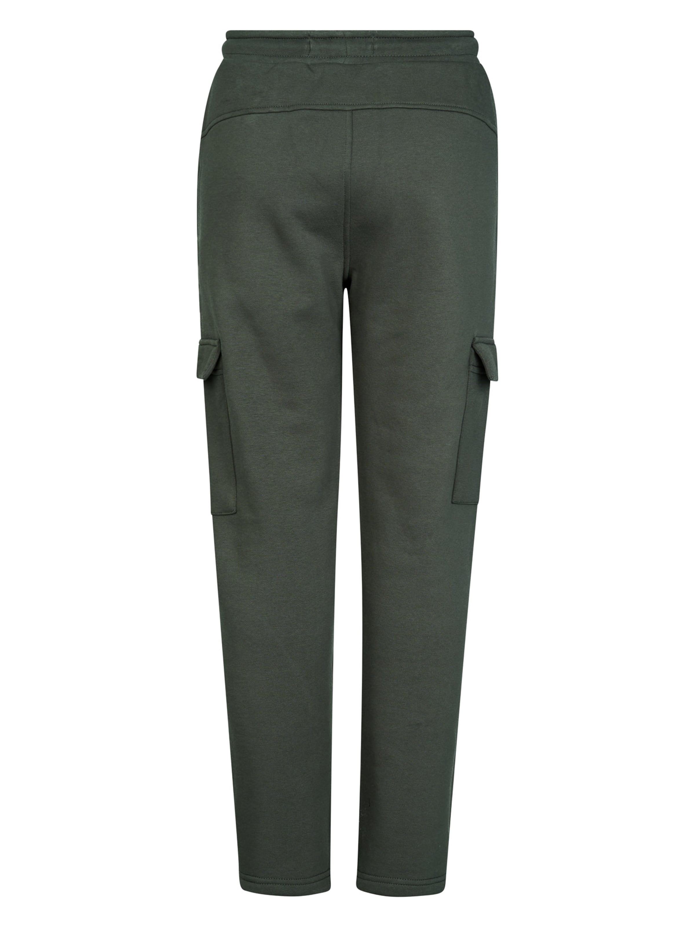 Regular Pantalon Petrol Industries en gris