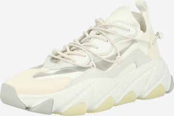 Sneaker bassa 'EXTRA BIS' di ASH in bianco: frontale