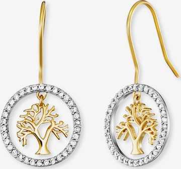 Engelsrufer Earrings in Mixed colors: front