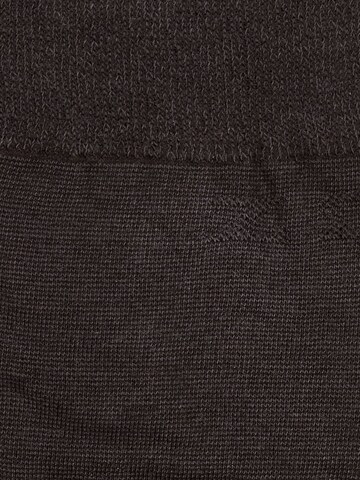 zd ZERO DEFECTS Knee High Socks 'Soy fiber knee socks' in Brown