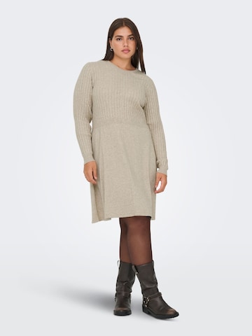 Robes en maille 'CARFia' ONLY Carmakoma en marron : devant