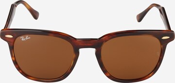 Ray-Ban Zonnebril '0RB2298' in Bruin