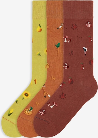 Von Jungfeld Socken 'Icons' in Braun: Vorderseite