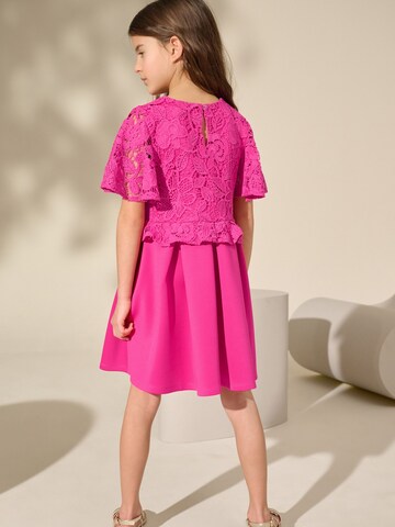 Next Kleid in Pink