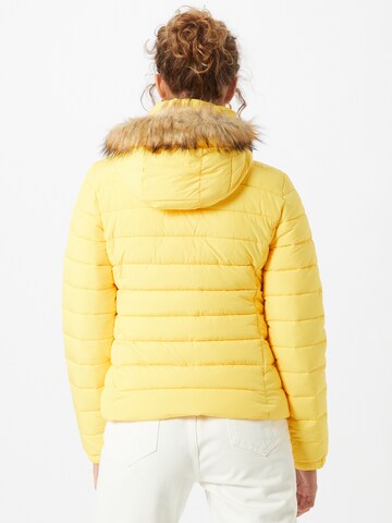 Superdry Winter Jacket in Yellow