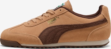 PUMA Sneaker 'Arizona' in Beige: Vorderseite