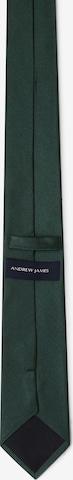 Andrew James Tie in Green
