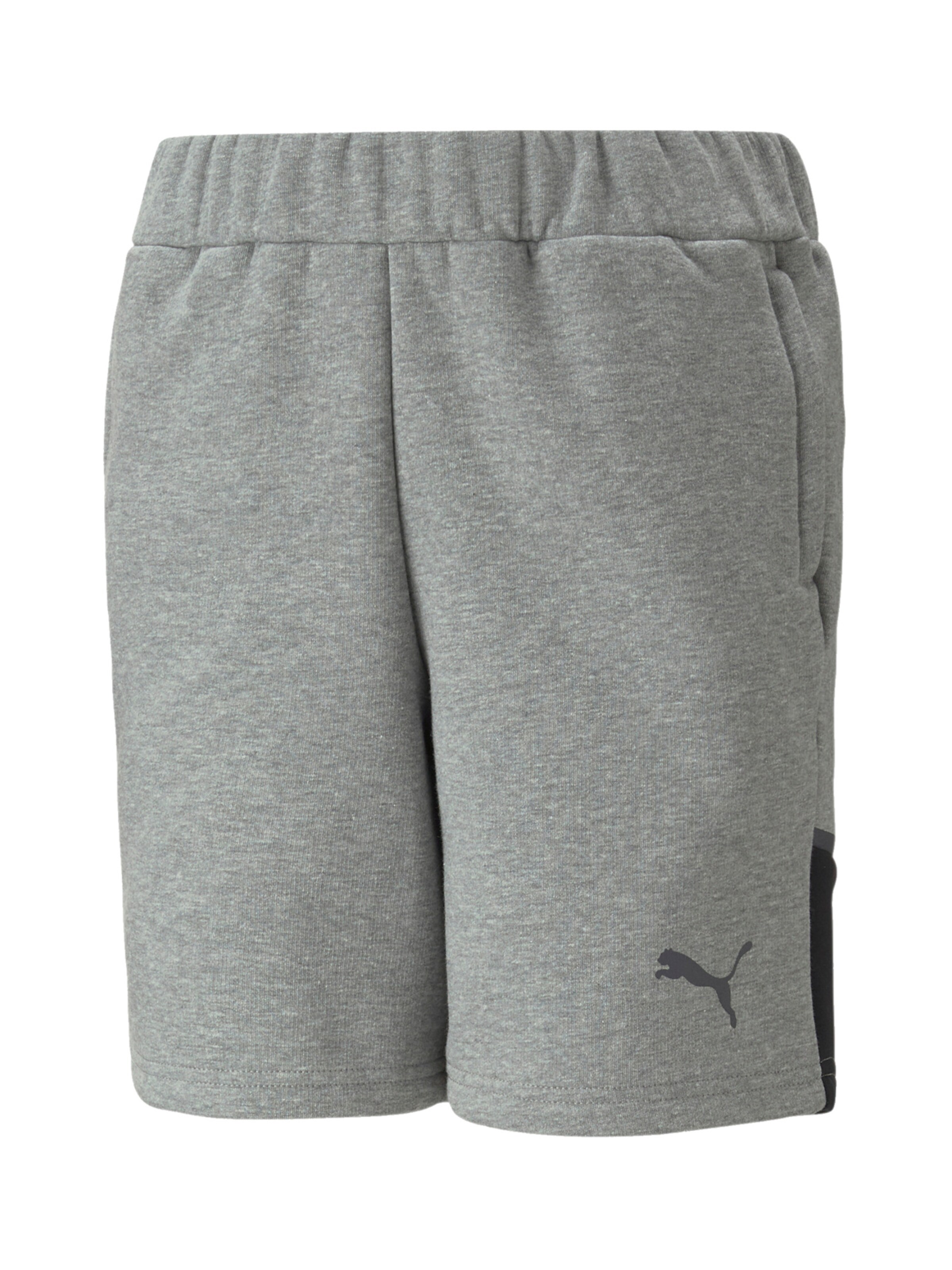 PUMA Regular Sporthose in Grau: Vorderseite