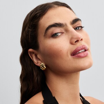 Pandora Earrings in Gold: front